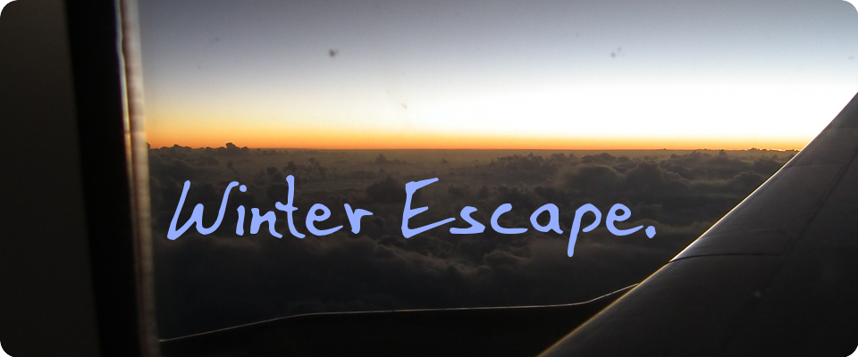 Winter Escape.