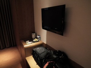 Harmony Hotel Room