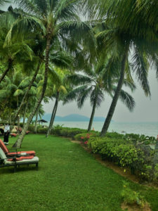 Garden Deckchairs