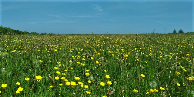 Ireland in Summer!