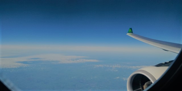 aer lingus flight dublin to boston today